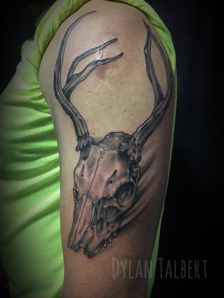 Dylan Talbert Davenport - Deer skull