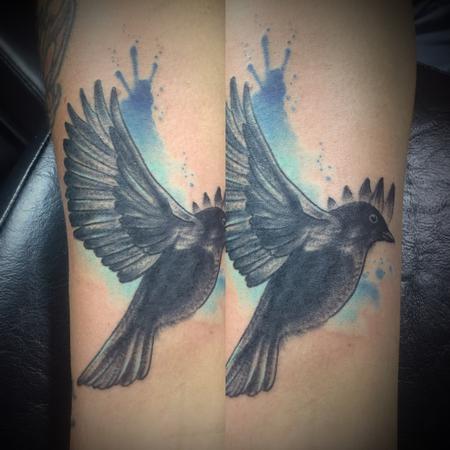 Tattoos - Watercolor blackbird - 127558