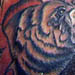 Tattoos - skin rip bear
 - 2029