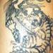Tattoos - tiger and dragon
 - 2031
