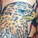 Tattoos - Bird - 2180