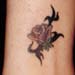 Tattoos - Tribal flower - 2202