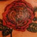 Tattoos - Tiger / Flower - 2165