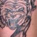 Tattoos - El Tigre - 68733