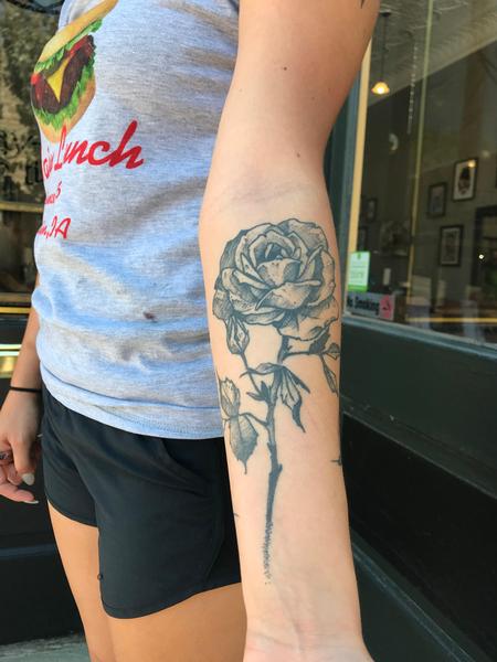 Chuck Day - Healed rose