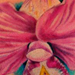 tattoo galleries/ - untitled