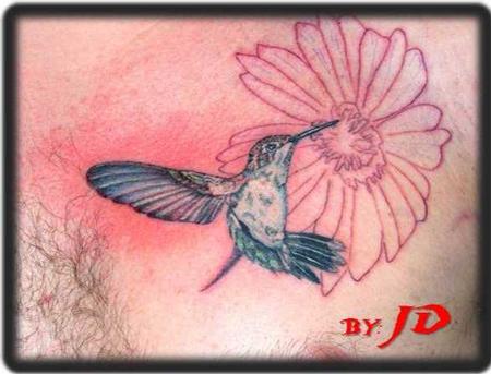 Tattoos - Humming bird In Progress - 63341