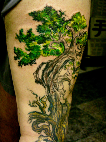 Tattoos - TREE of LIFE in progress! - 25167