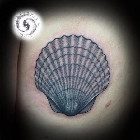 Tattoos - Seashell - 133379