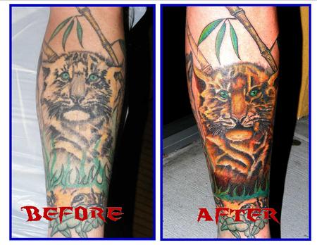 JD McGowan - Tiger rework