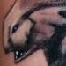 Tattoos - Creature - 61297