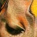 Tattoos - Angelical * - 41030