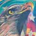 Tattoos - Bald Eagle and Flag - 10436