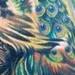 Tattoos - Peacefull ! - 37479