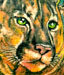 Tattoos - CHILLCAT ! - 24012