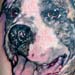 Tattoos - BEST FRIEND ! - 26840