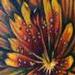 tattoo galleries/ - Midnight Moon ! - 57705