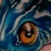 Tattoos -  - 39824
