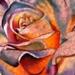Glowing Rose Tattoo Design Thumbnail