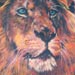 Tattoos - Lion - 15929