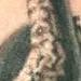 Tattoos - Catch 33 - 63339