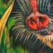 Tattoos - Monkey See... - 57372