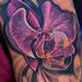 Tattoos - Exotic... - 55695