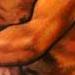 Tattoos - Saint Christopher ! - 60671