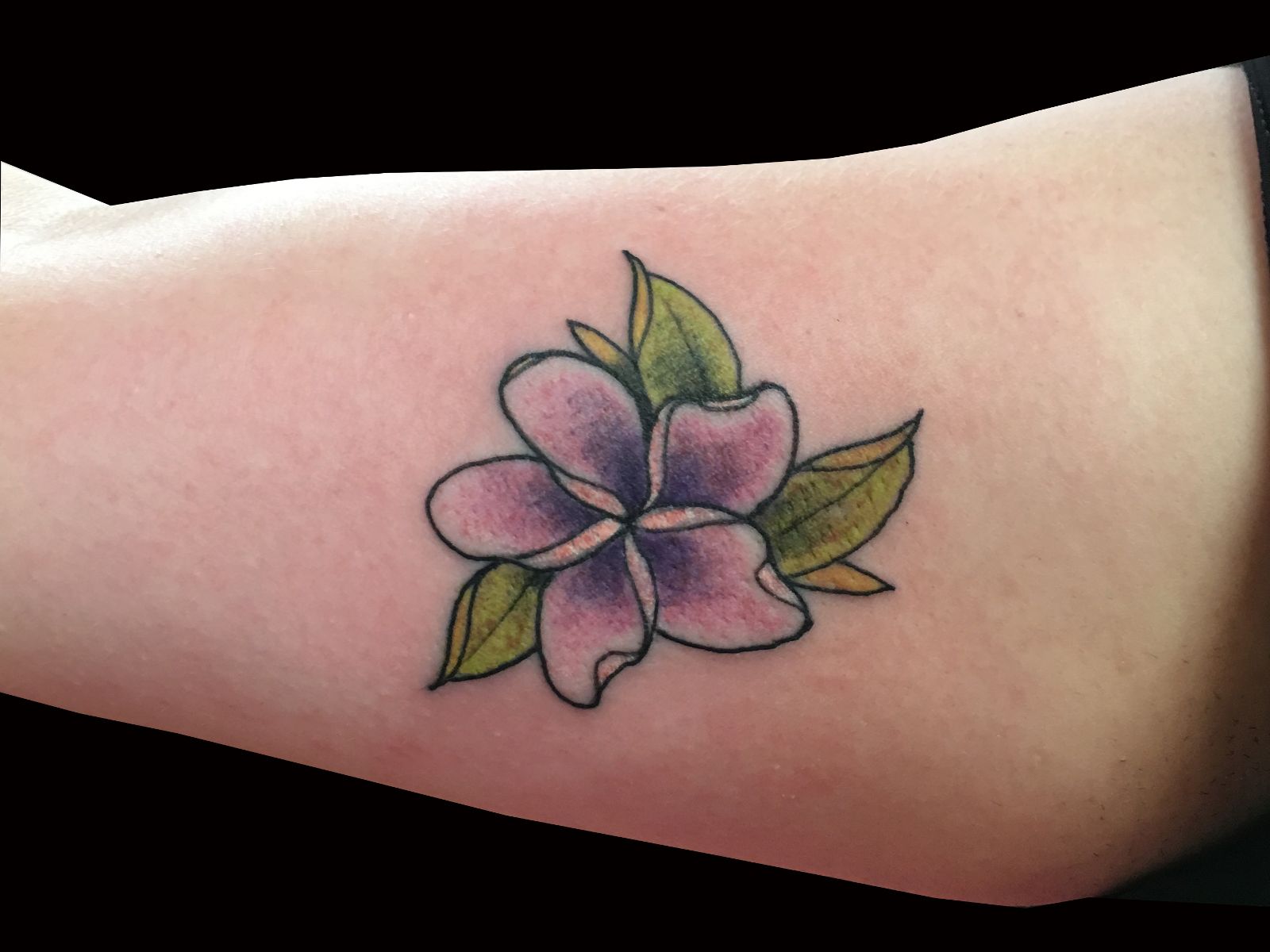 moklas tattoo plumeria pictures to pin on pinterest moklas tattoo plumeria pictures to pin on pinterest