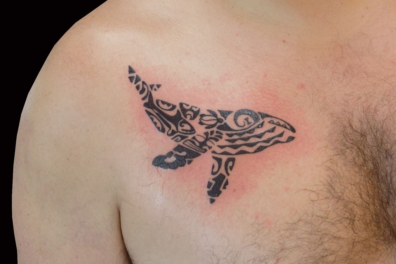 Polynesian Whale Tattoo