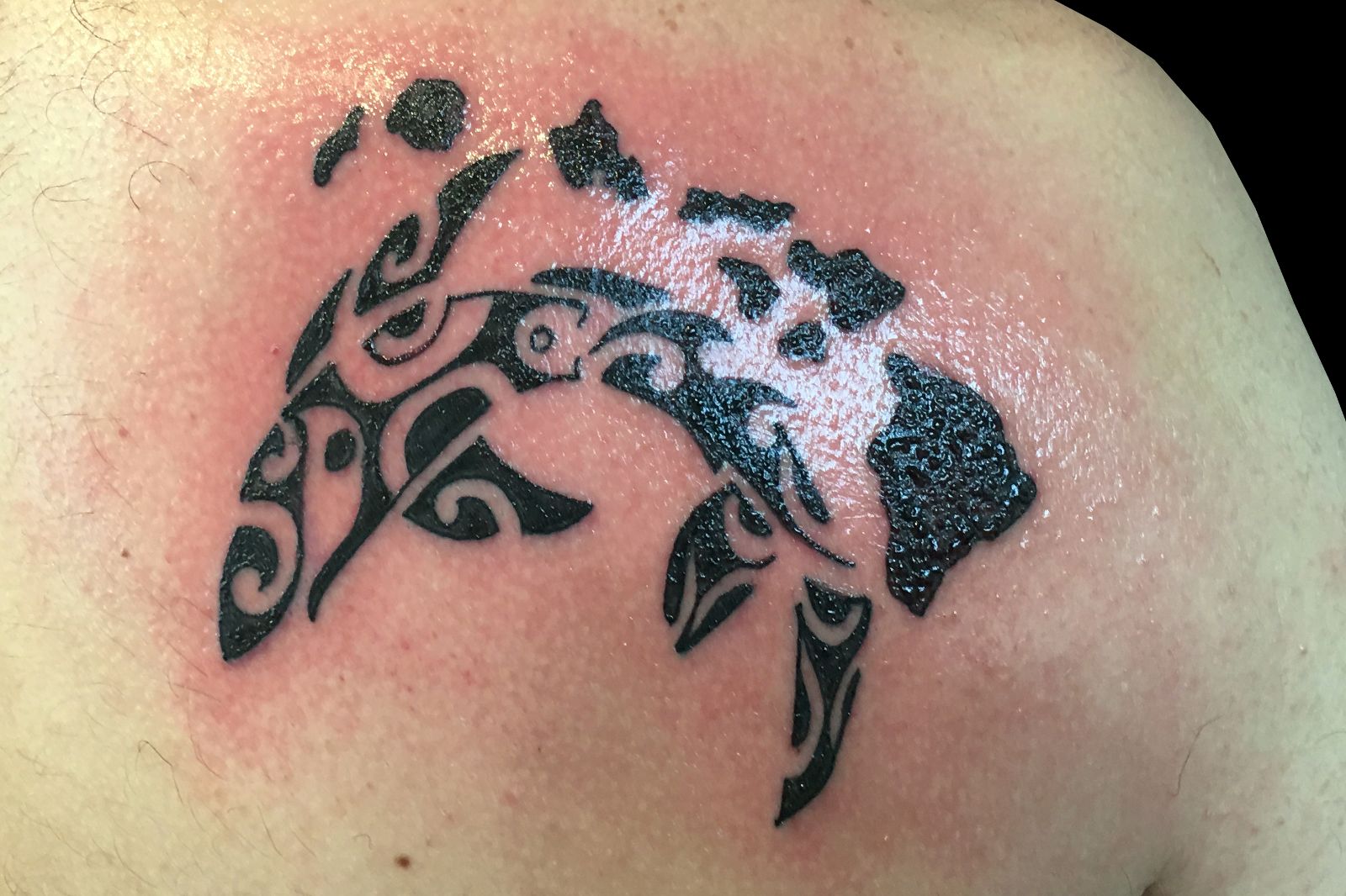 Polynesian Whale Hawaiian Islands By Adam Considine Tattoonow