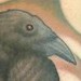 Tattoos - the raven - 48044