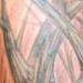 tattoo galleries/ - sketchy tree - 55485