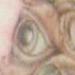 tattoo galleries/ - sketchy brandon boyd - 55486