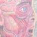 tattoo galleries/ - lateralus...healed