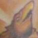 tattoo galleries/ - firery phoenix