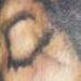 tattoo galleries/ - jimi hendrix - 69894