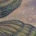 tattoo galleries/ - reconnect - 55474