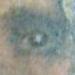 tattoo galleries/ - bobble head buddha pete - 55476