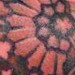 Tattoos - it'sa bird - 44728