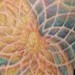 Tattoos - fibonacci space - 44753