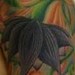 Tattoos - lotus and vines - 44793