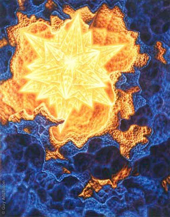 Tattoos - Lightform 2, 2000 - 72459