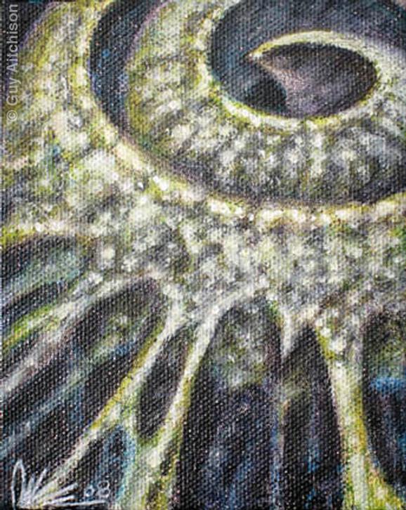 Tattoos - Organic Coil 3, 2008 - 72489