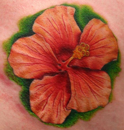 hibiscus flowers tattoos. Hibiscus Flower