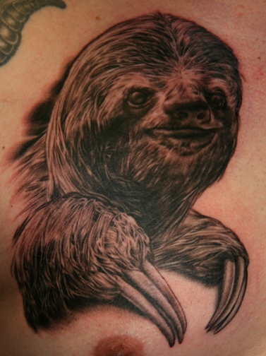 Tattoos - Tim Harris - Sloth