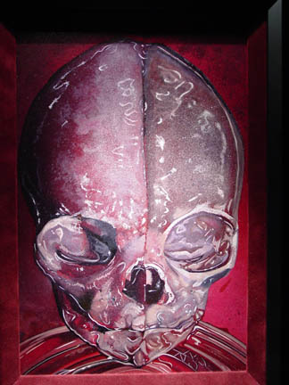 Art Galleries - Eric Merrill - untitled