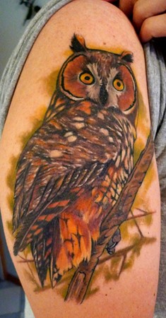 Tattoos - owl