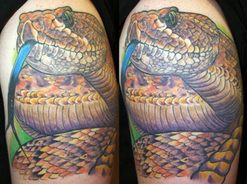 Tattoos - rattler