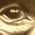 tattoo galleries/ - i see through you